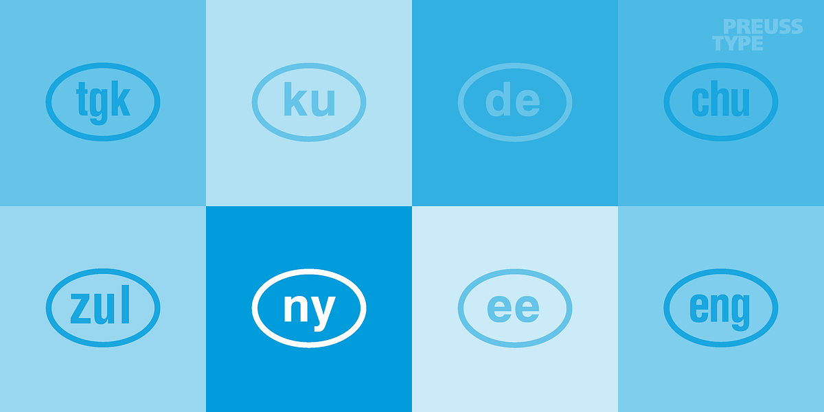 Language Code, a Symbol Font by preussTYPE (Photo 6 of 6)