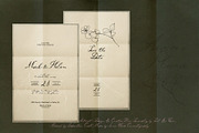 Aurora Plume | Luxury Wedding Font, a Script Font by nadispasibenko (Thumbnail 9 of 9)