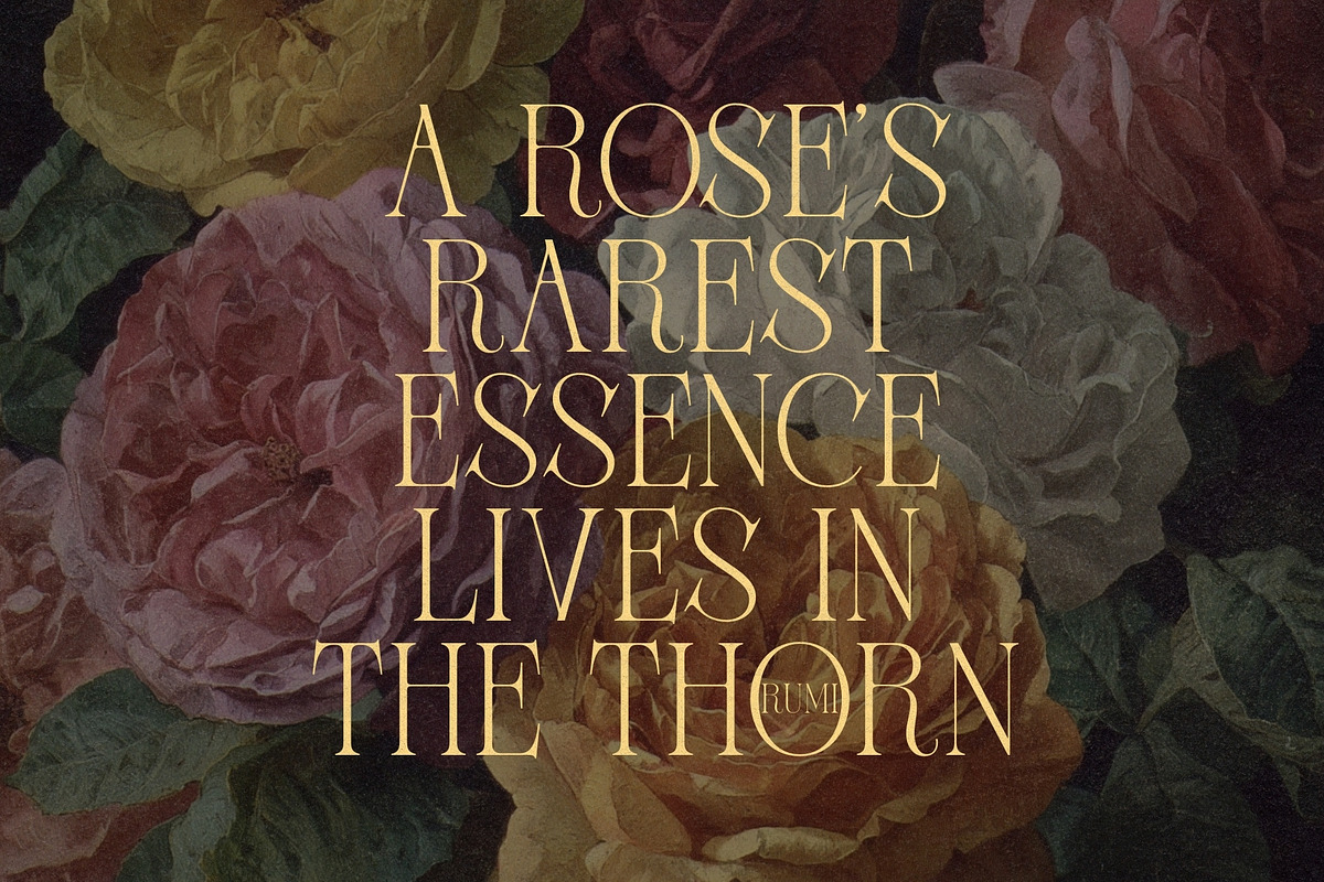 Thornfield - Classy Serif Typeface, a Serif Font by HipFonts (Photo 2 of 10)