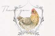 Hens and roosters, an Illustration by Love Watercolor Store (Thumbnail 10 of 10)