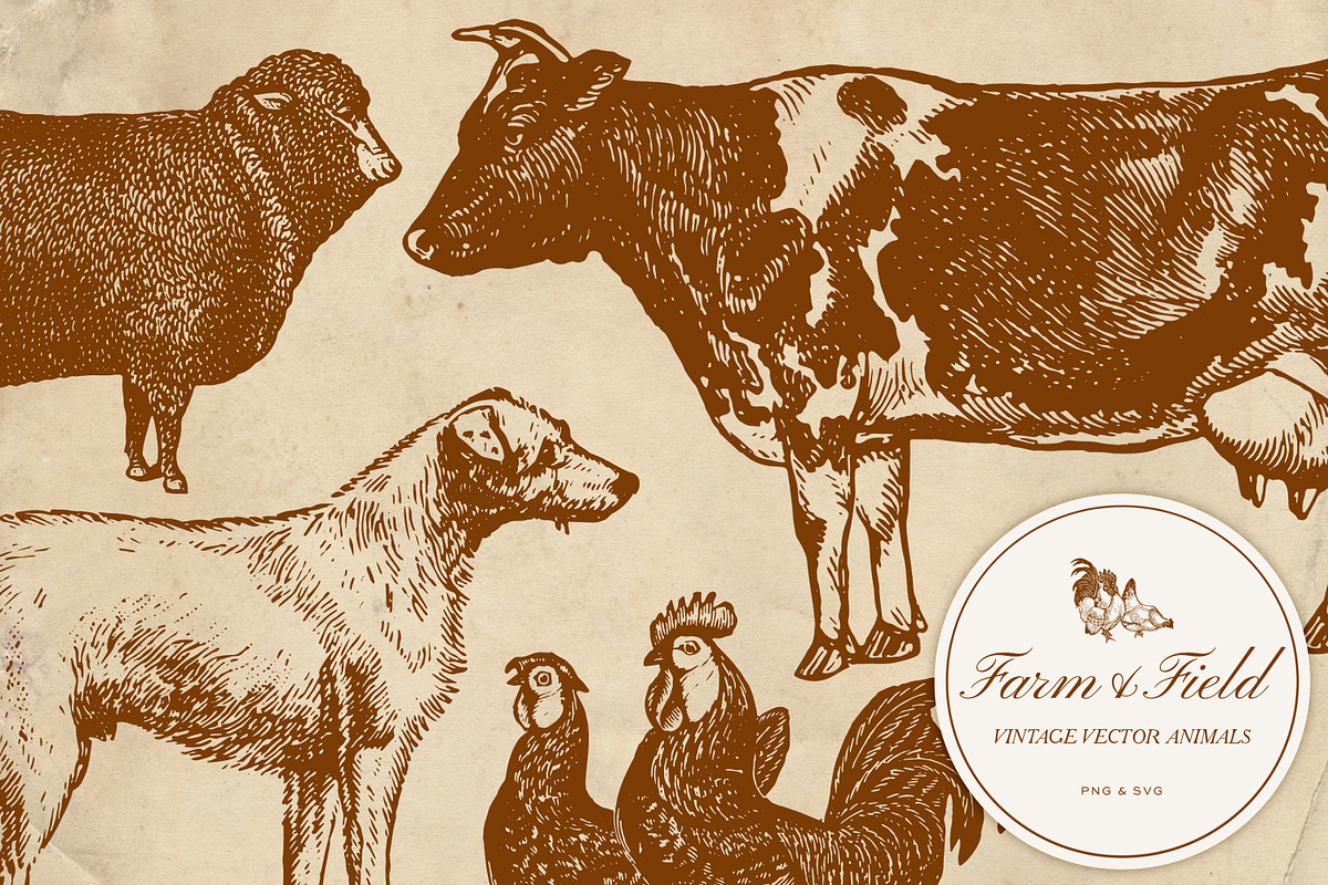 Vintage Farm Animal Vector Graphics, an Object Graphic by Eclectic Anthology (Photo 9 of 9)