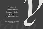 Trefally - Elegant Editorial Serif, a Serif Font by Attract Studio (Thumbnail 20 of 22)