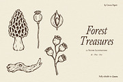 FOREST TREASURES illustrations, a Seasonal Illustration by Crocus Paperi (Thumbnail 1 of 8)