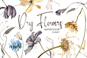 Dry Flowers Watercolor Clipart, a Decorative Illustration by NKTKNS (Thumbnail 1 of 6)