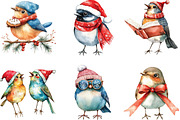 Watercolor Funny Christmas Bird Clip, an Illustration by CraftArtStudio (Thumbnail 3 of 6)