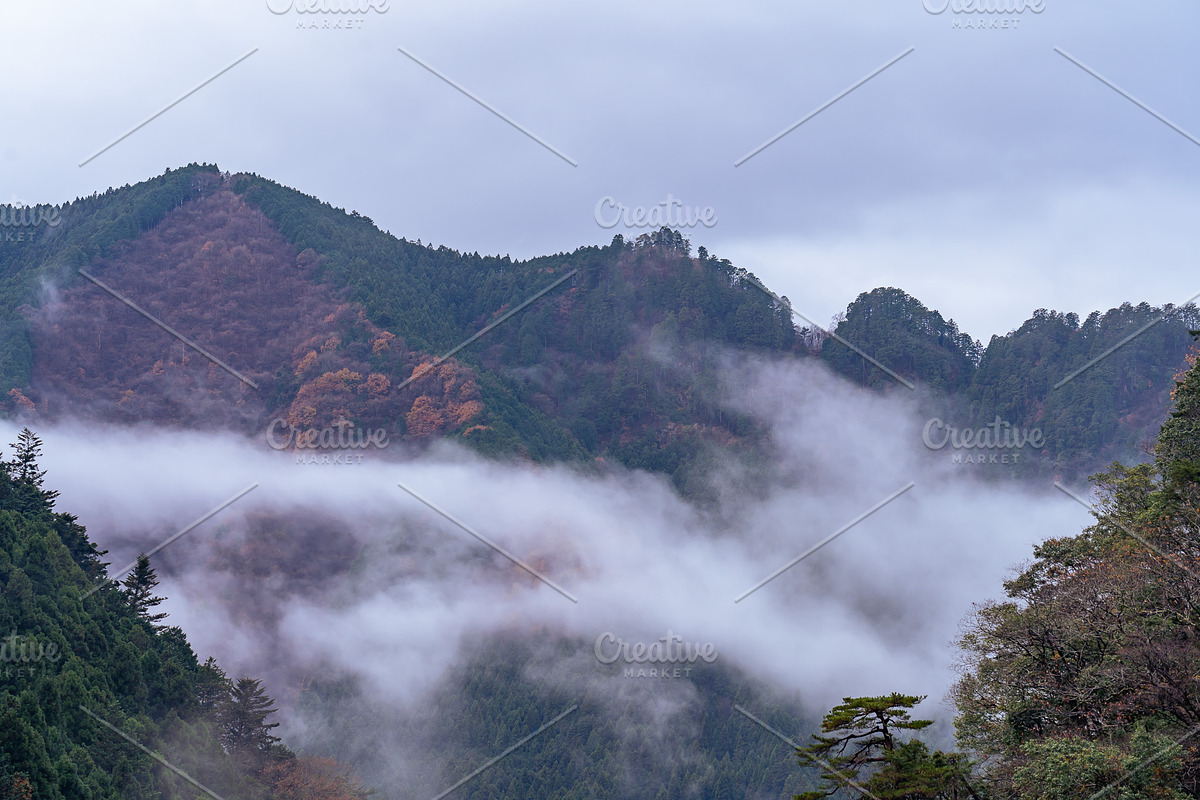 Autumn Landscape Photo Bundle Japan, a Nature Photo by Silent Nature (Photo 6 of 6)