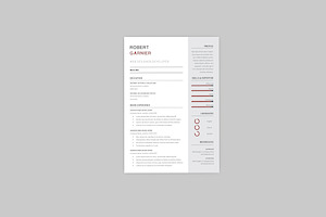 Robert Developer Resume Designer