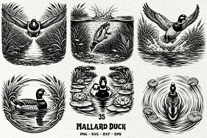 Mallard Duck SVG Graphics Bundle