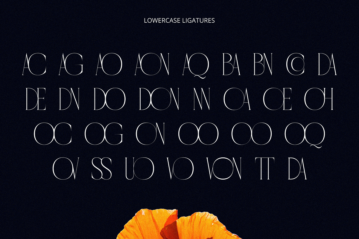 Cordelia - Unique Ligature Serif, a Serif Font by Glyphofik x GudPap (Photo 6 of 6)