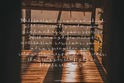 Loyalneha Brush Script, a Script Font by madeDeduk (Thumbnail 8 of 8)