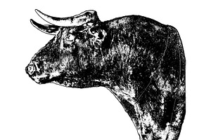 Isolated graphic of a stuffed bull head, an Animal Illustration by DanFLCreativo