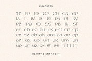Beauty Entity - Stylish Serif, a Serif Font by Typeskets (Thumbnail 6 of 9)