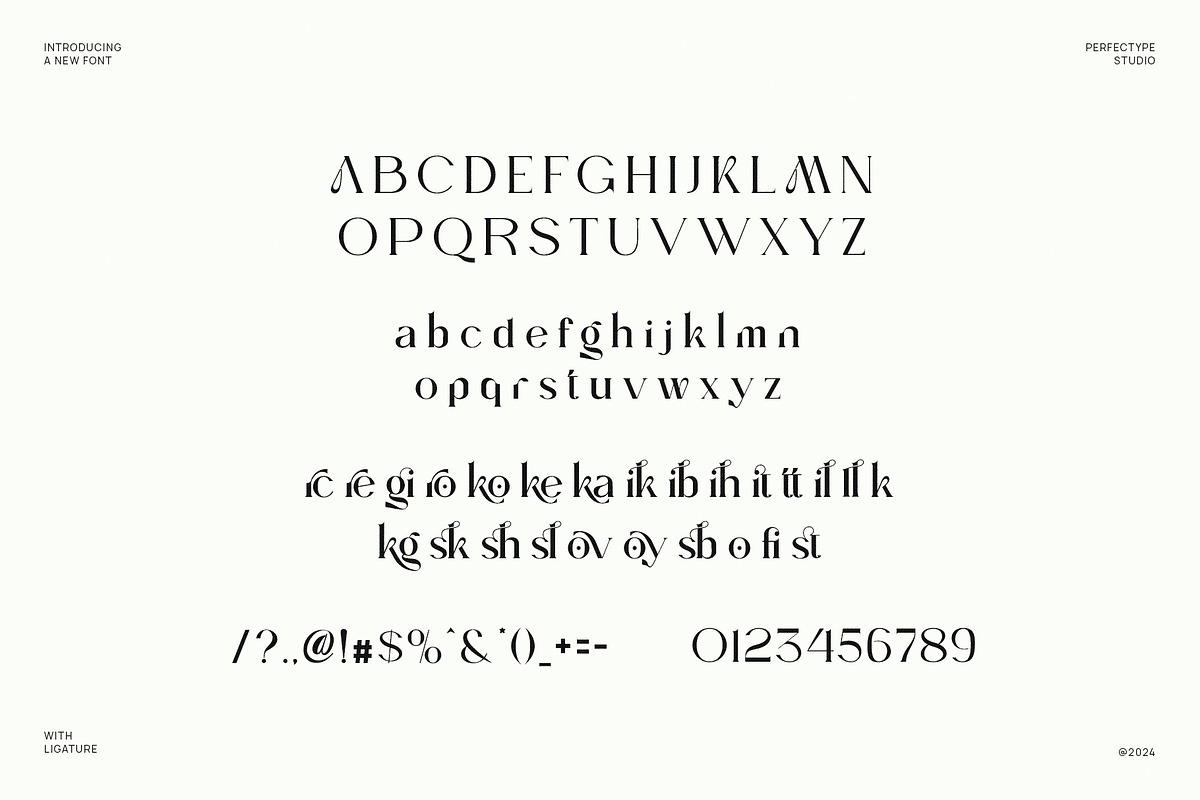 Migroska Elegant Ligature Serif Font, a Serif Font by Perfectype (Photo 6 of 6)