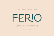 Ferio, a Sans Serif Font by Larin Type Co. (Thumbnail 1 of 15)