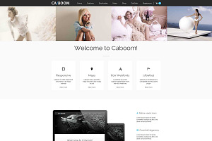 Caboom - Multipurpose WP Theme