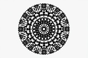 Boho Floral Mandala Vector Pack, an Illustration by Artivon (Thumbnail 2 of 20)