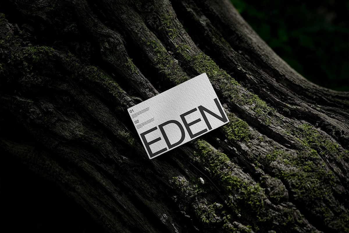FORMAT EDEN BUSINESSCARD 02, a Product Mockup by Format Mockups (Photo 2 of 3)