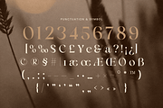 Emira - Unique Luxury Logo Font, a Serif Font by Sensatype (Thumbnail 11 of 12)