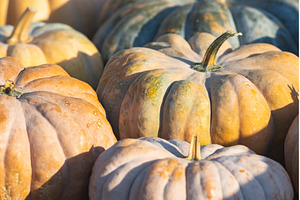 Pumpkins stacked outdoors -