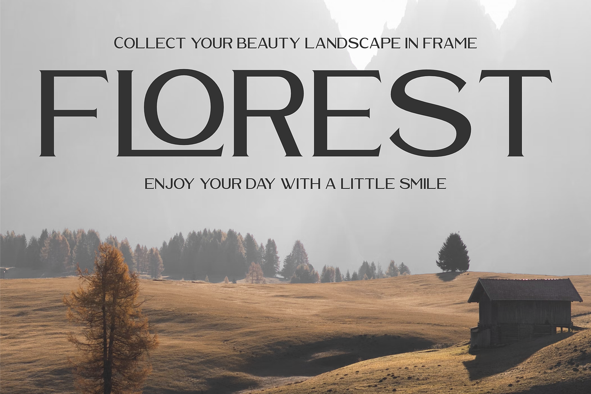 Waldecry A Modern Serif Font, a Serif Font by Storytype Studio (Photo 2 of 15)