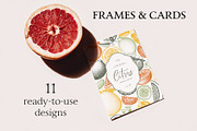 Vector Citrus Fruit Sketch Set, a Food Illustration by Yevheniia (Thumbnail 4 of 6)