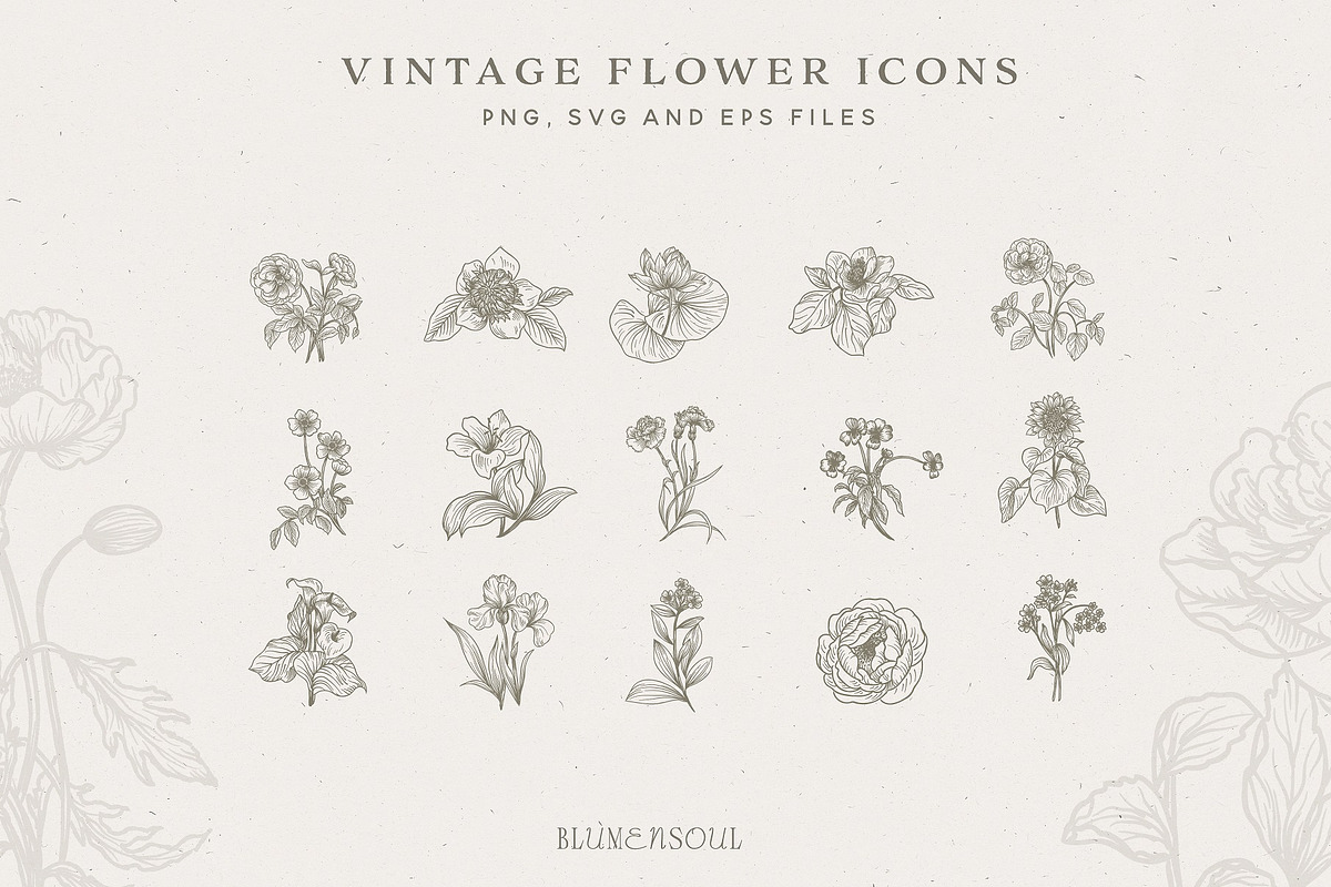 Vintage Flower Icons - Logo Elements, an Illustration by BlumenSoul (Photo 3 of 7)