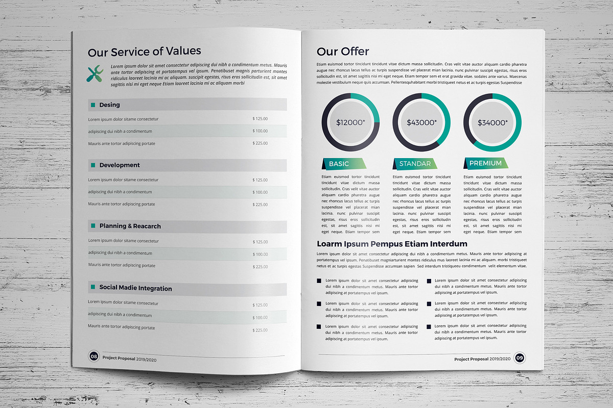 Project Proposal Template V7, a Brochure Template by JanySultana (Photo 5 of 16)