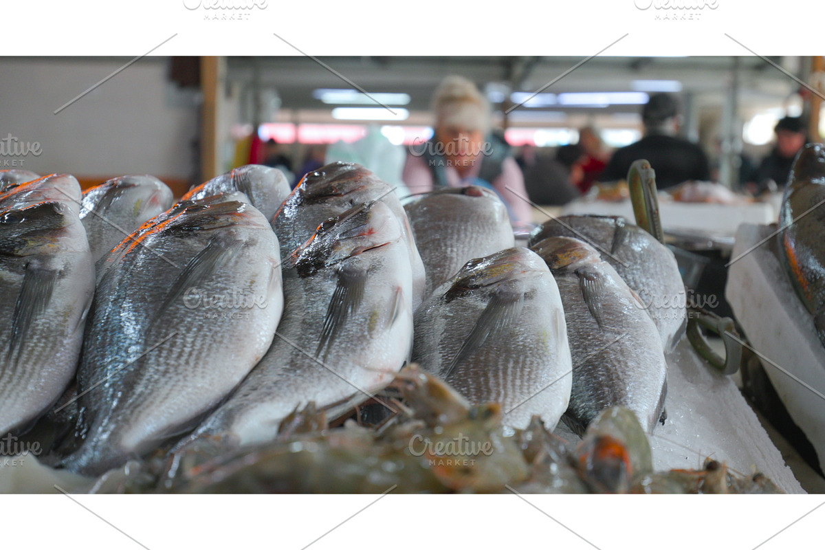 View On Gilt-head Sea Bream Sparus, a Graphic by Our Amazing World (Photo 1 of 2)