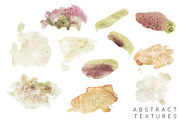 Succulent Blooms Watercolor Images, a Texture Illustration by Fire Spark Studio (Thumbnail 7 of 9)