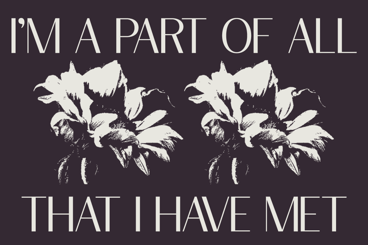 Cottera Modern Editorial Sans Font, a Sans Serif Font by Rasio Studio (Photo 5 of 10)