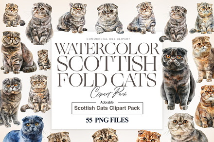 Scottish Fold Cat Clipart, Cat Breed, an Animal Illustration by BrushstrokeArtGB