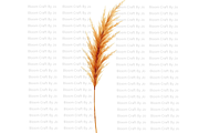 Dried Pampas Grass, a Decorative Illustration by Bloom Craft Creations (Thumbnail 3 of 10)