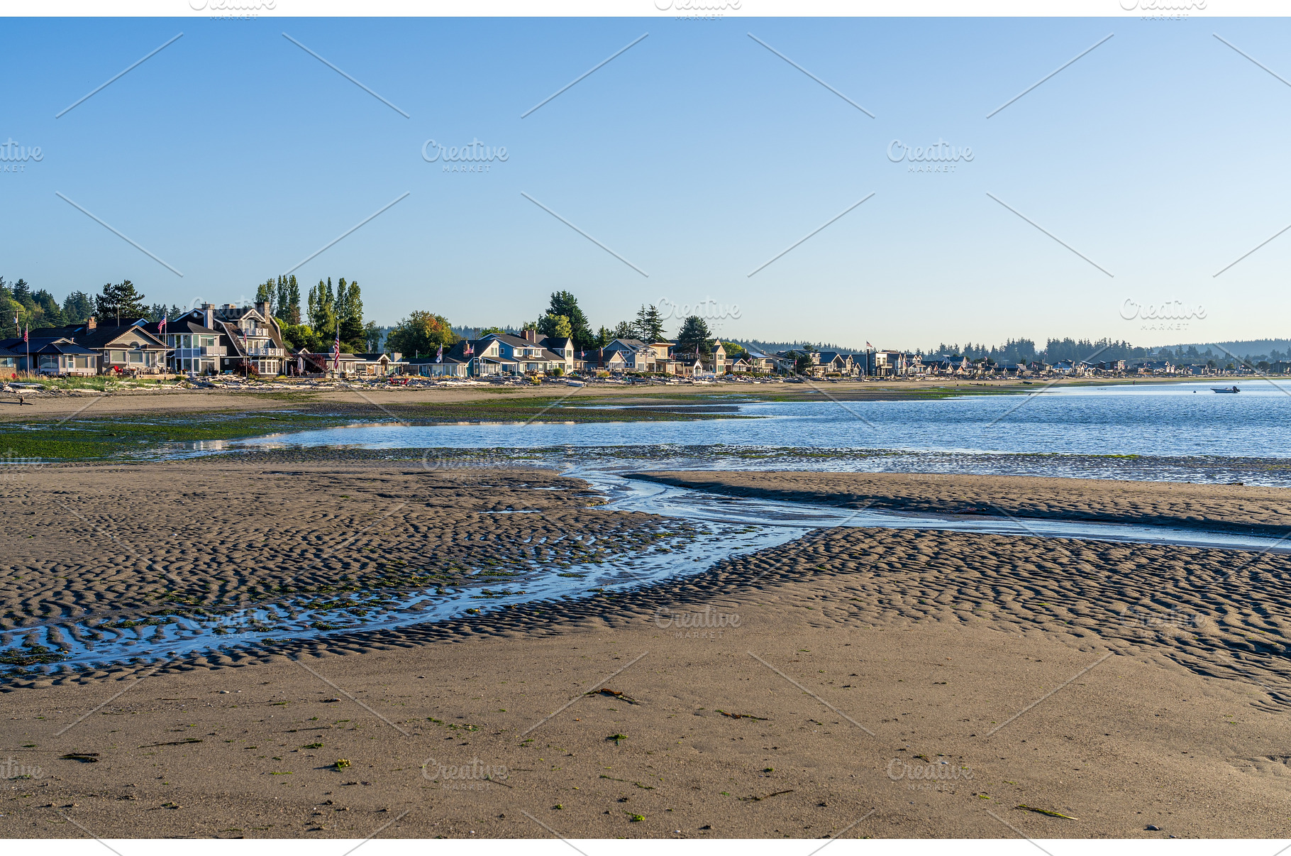 Wide sandy beach used for dog park, a Nature Photo by Backyard Stock