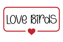 Love Birds