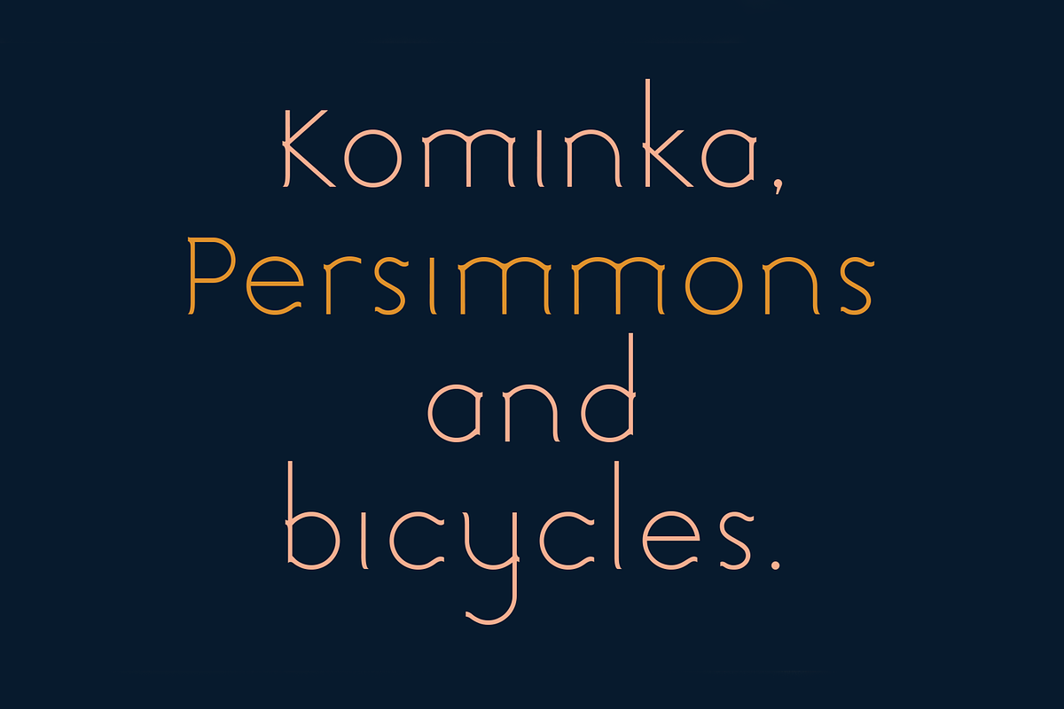 Nishi. Chic, modern sans serif font, a Sans Serif Font by LostandFoundry (Photo 2 of 7)