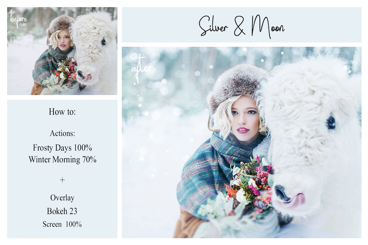 Winter Bundle: PS Actions + Overlays, an Action Add-On by LovePhotoMoment (Photo 5 of 24)