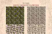 Birth Month Flowers Handcrafted, a Decorative Illustration by Ink Stories (Thumbnail 5 of 15)