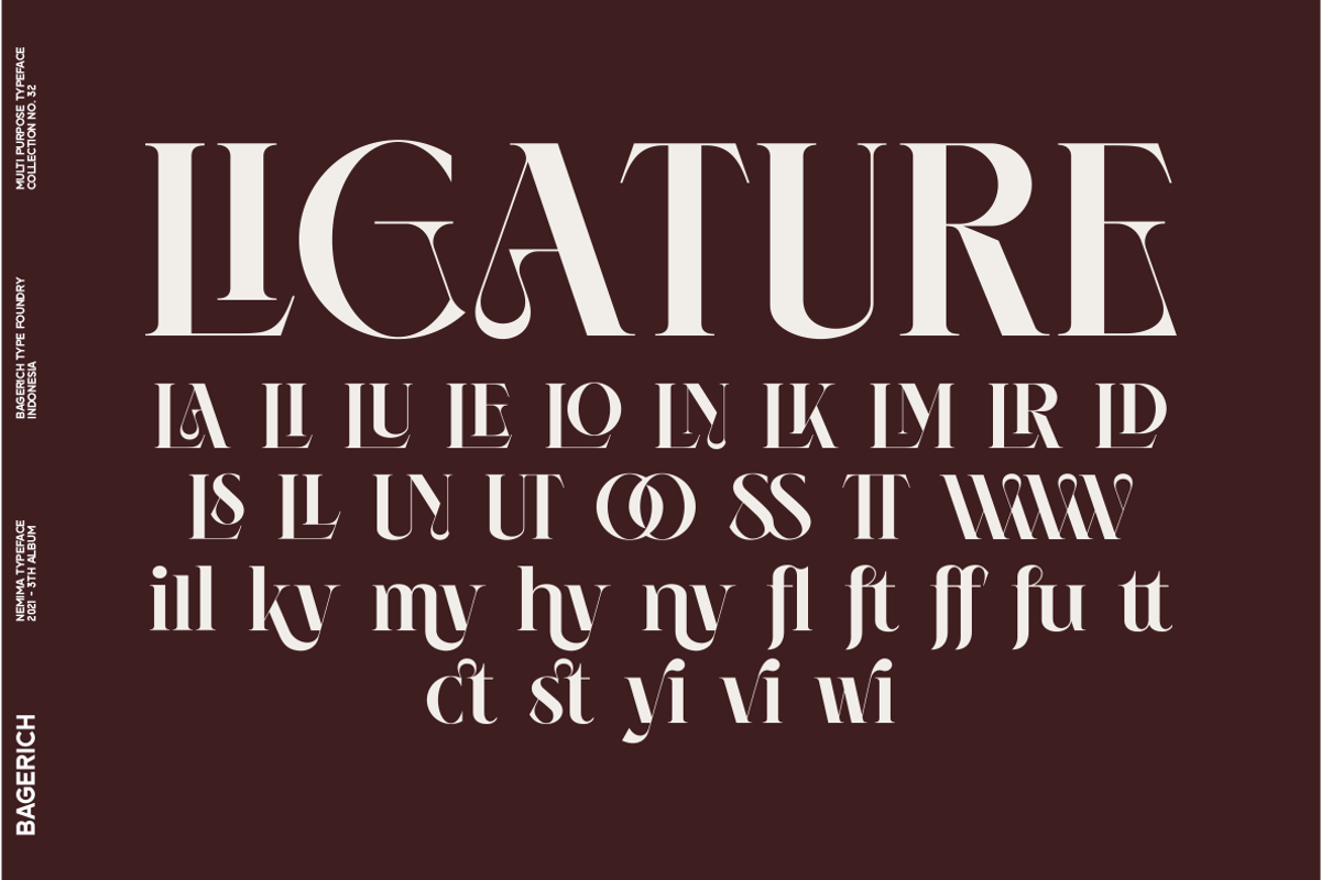 NEIMA, a Serif Font by Bagerich Type Foundry (Photo 9 of 15)