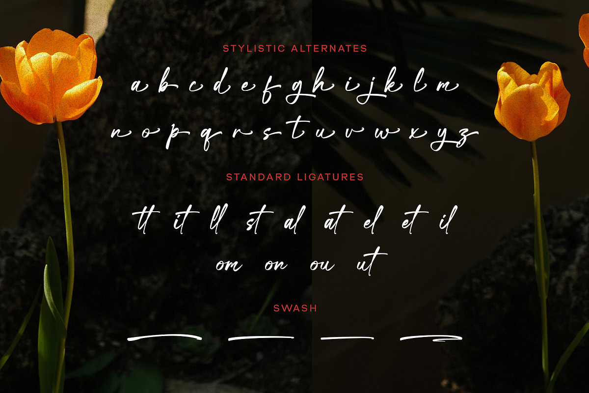 Khalisa Signature, a Script Font by Haps Space (Photo 4 of 7)