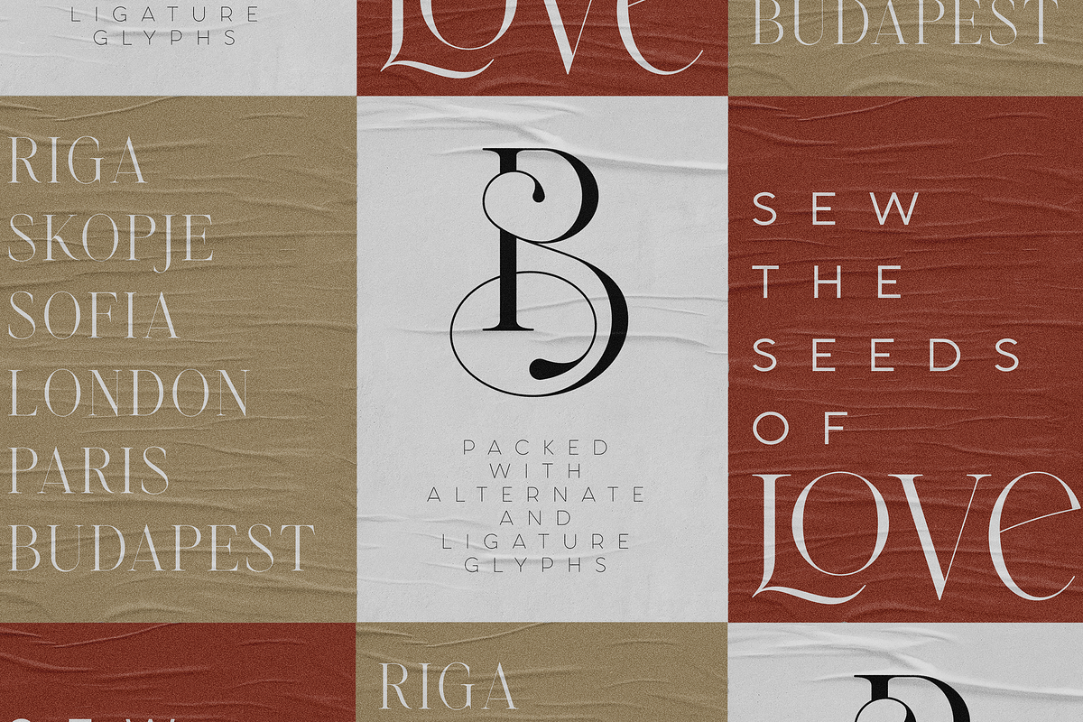 Emotive Type - creative font duo, a Serif Font by VP Fonts (Photo 13 of 17)