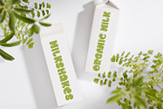 Chunky Spinach, a Slab Serif Font by Bramcreative (Thumbnail 4 of 10)