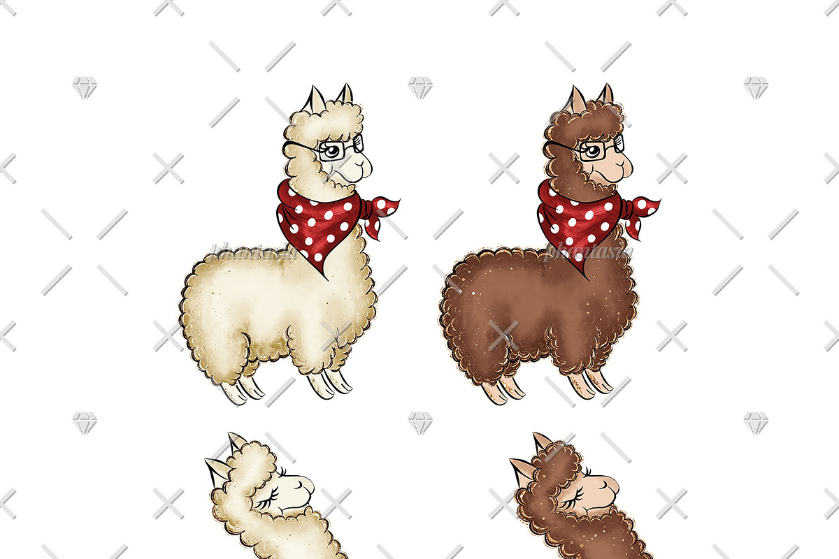 Alpaca Cliparts, an Illustration by Phantasia Design (Photo 6 of 8)