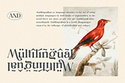 Dunsmuir - Modern Serif Font, a Serif Font by Cruzine (Thumbnail 9 of 9)