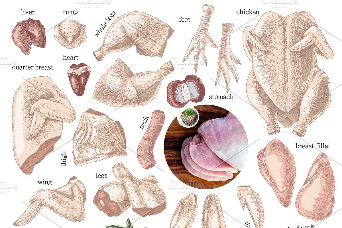 Ultimate meat set. Meat market, a Food Illustration by handsketched (Photo 5 of 17)