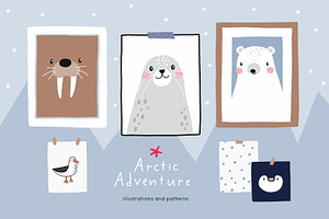 Arctic Adventure - Cute Animals