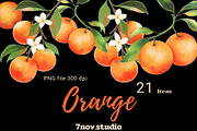 Orange clipart, a Decorative Illustration by 7nov.studio (Thumbnail 1 of 6)