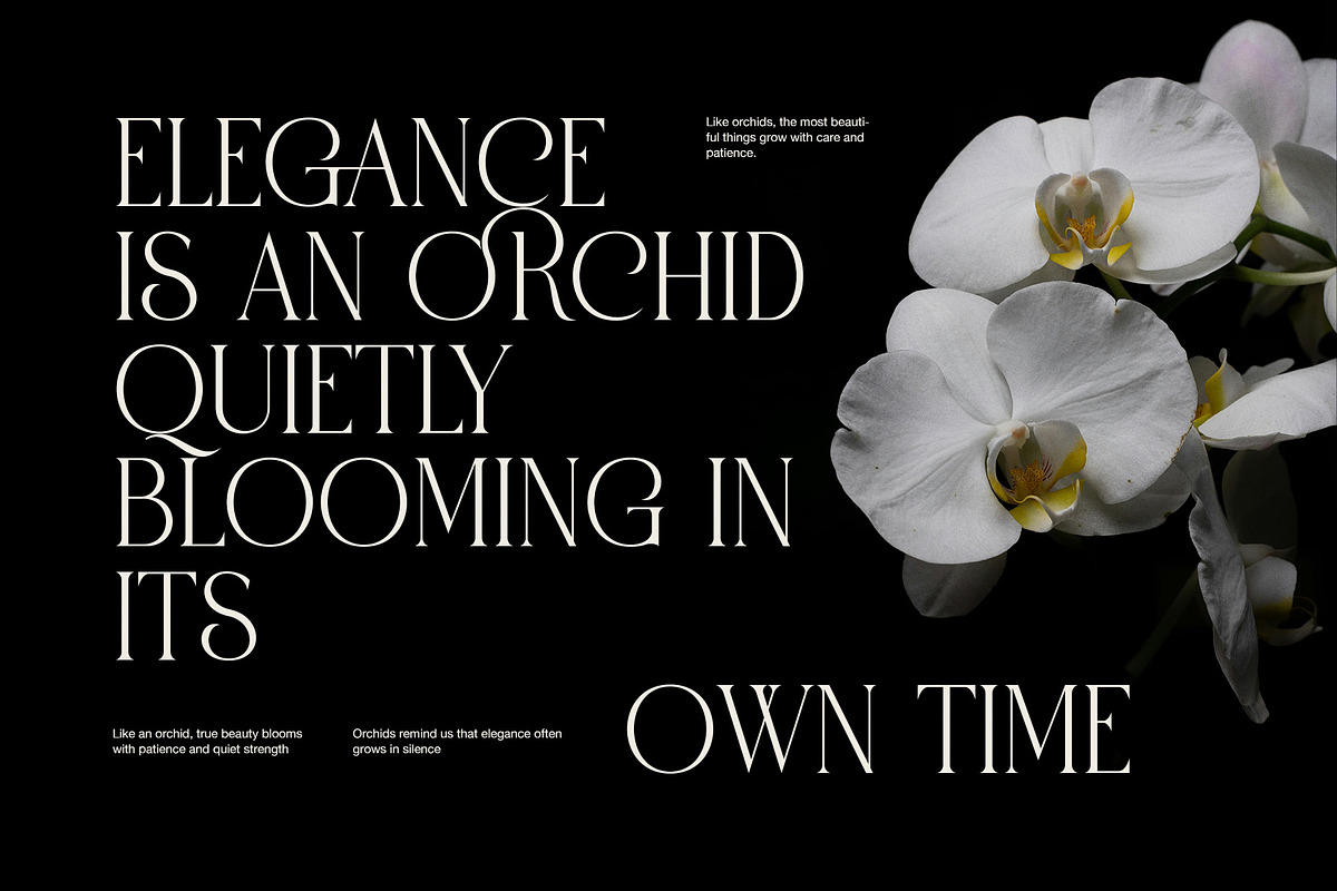 Paris Elegant Serif Font, a Serif Font by Perfectype (Photo 5 of 8)