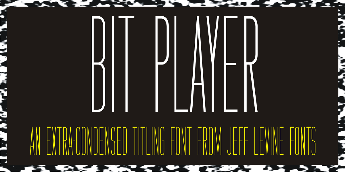 Bit Player JNL, a Sans Serif Font by Jeff Levine Fonts