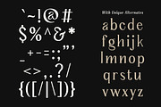 Serelia Serif Family | Intro 60% OFF, a Serif Font by Lettertype Studio (Thumbnail 13 of 17)