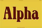 BN Alphabyte, a Serif Font by Bnick (Thumbnail 8 of 14)